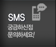 탑스카이 SMS